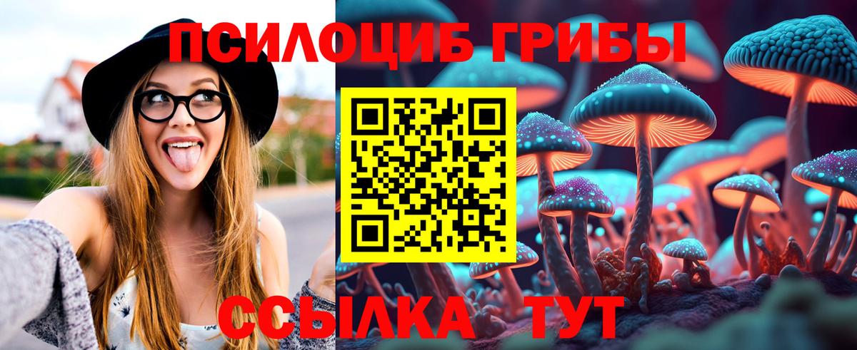 Галлюциногенные грибы GOLDEN TEACHER  Вход с VPN  Нижний Тагил 